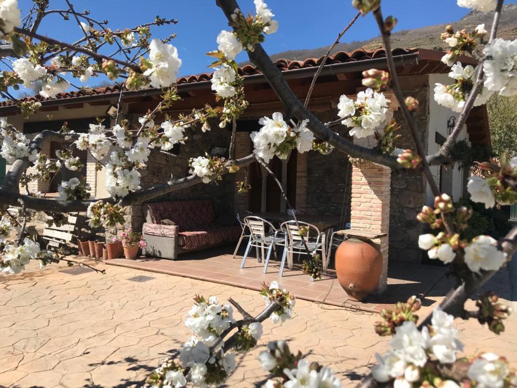 Casa Rural La Picotina Navaconcejo Exterior foto