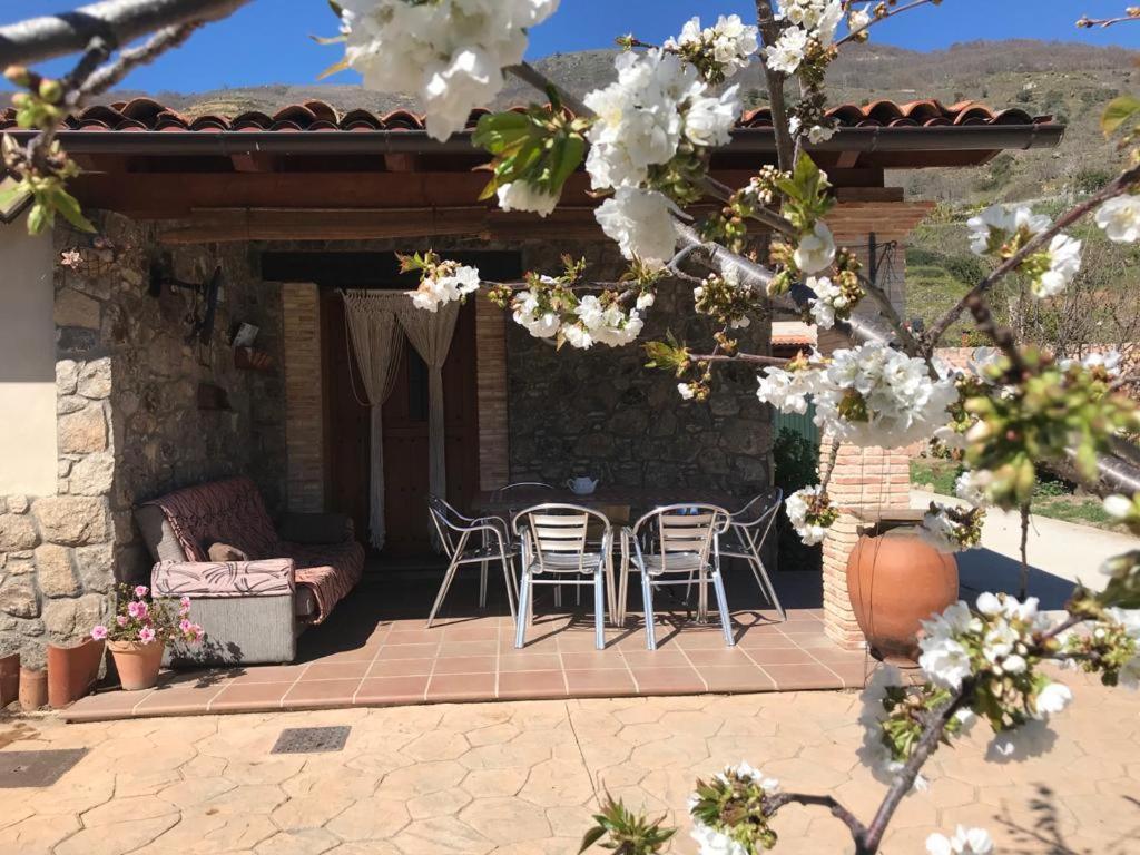Casa Rural La Picotina Navaconcejo Exterior foto