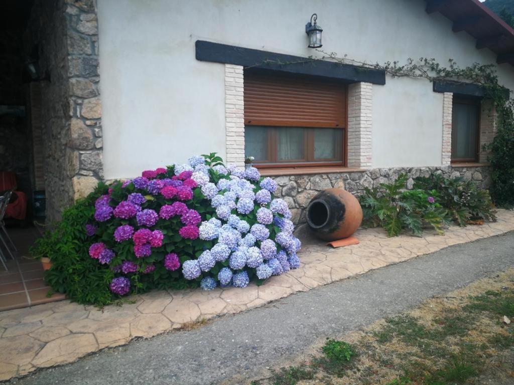 Casa Rural La Picotina Navaconcejo Exterior foto